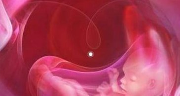 江西第三代试管婴儿收费标准如何计算？