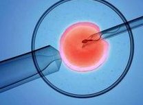 2026徐州四院做试管婴儿的成功率多少？